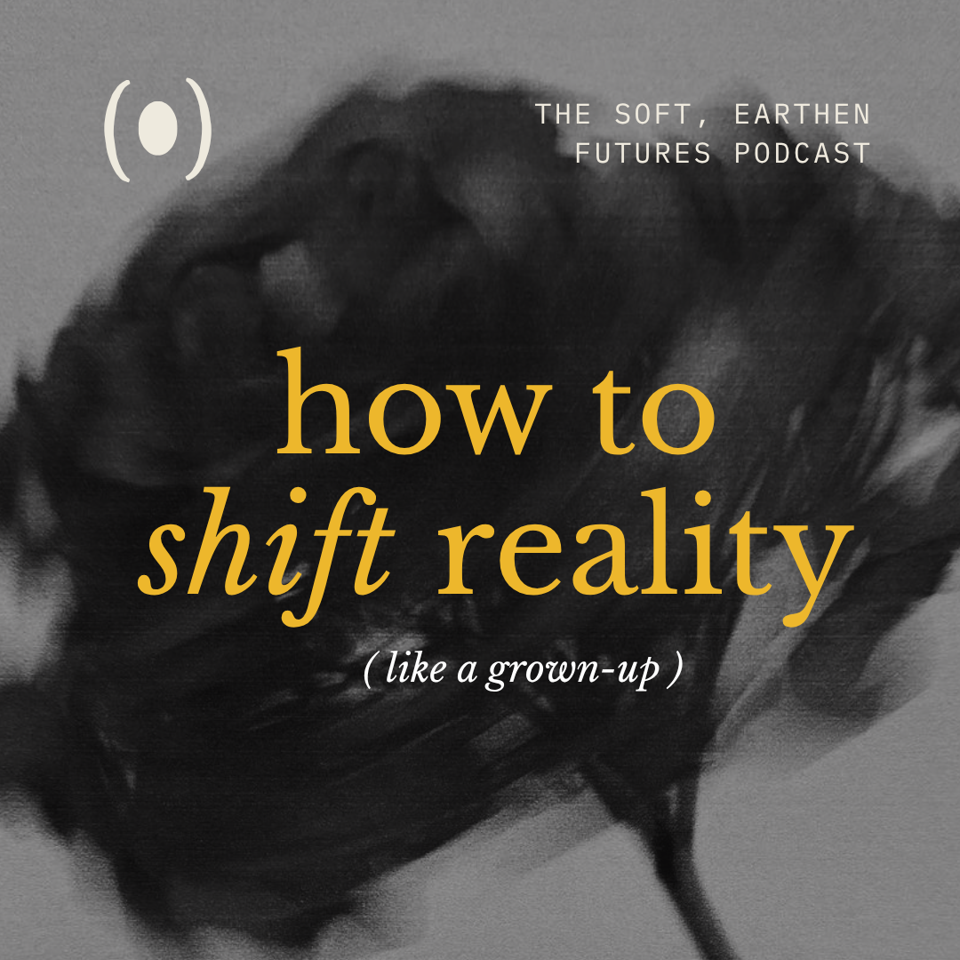 How to Shift Reality (Like a Grown Up) — A Free 12-Part Podcast Series