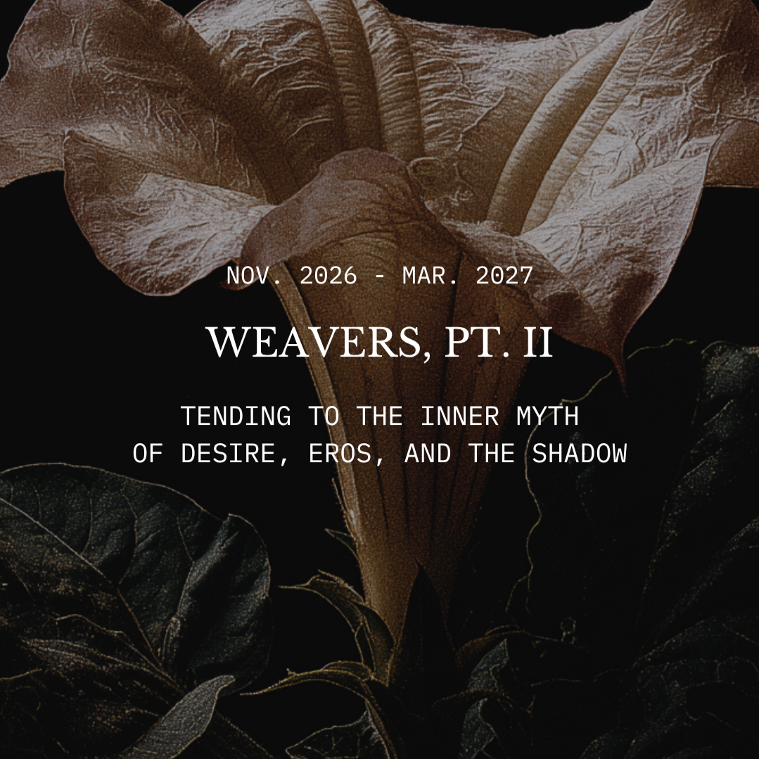 The+Midwives+IG+-+2026-05-05T133123.196.png