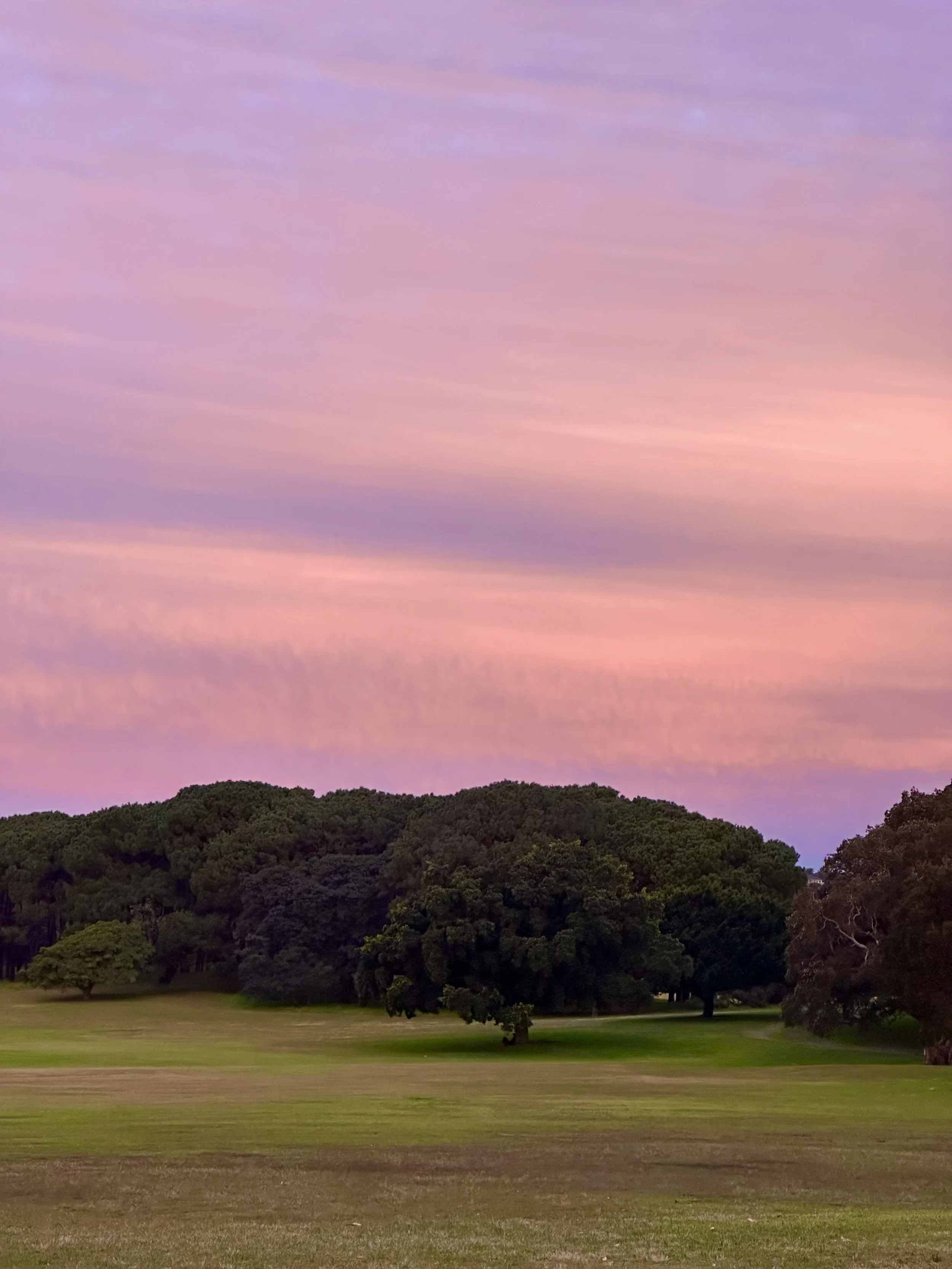 Words by Natalya 6.jpeg