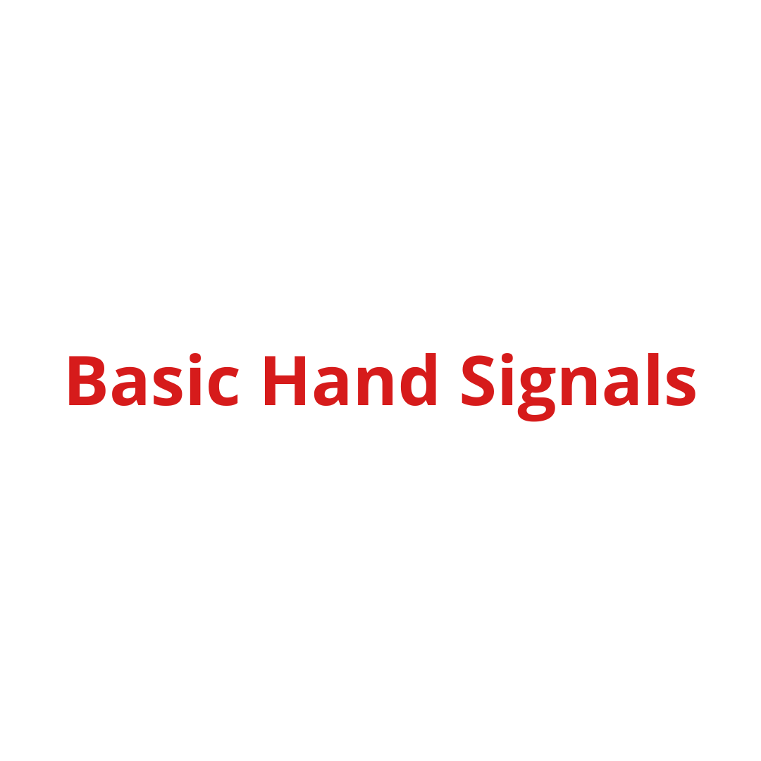Basic Hand Signals.png