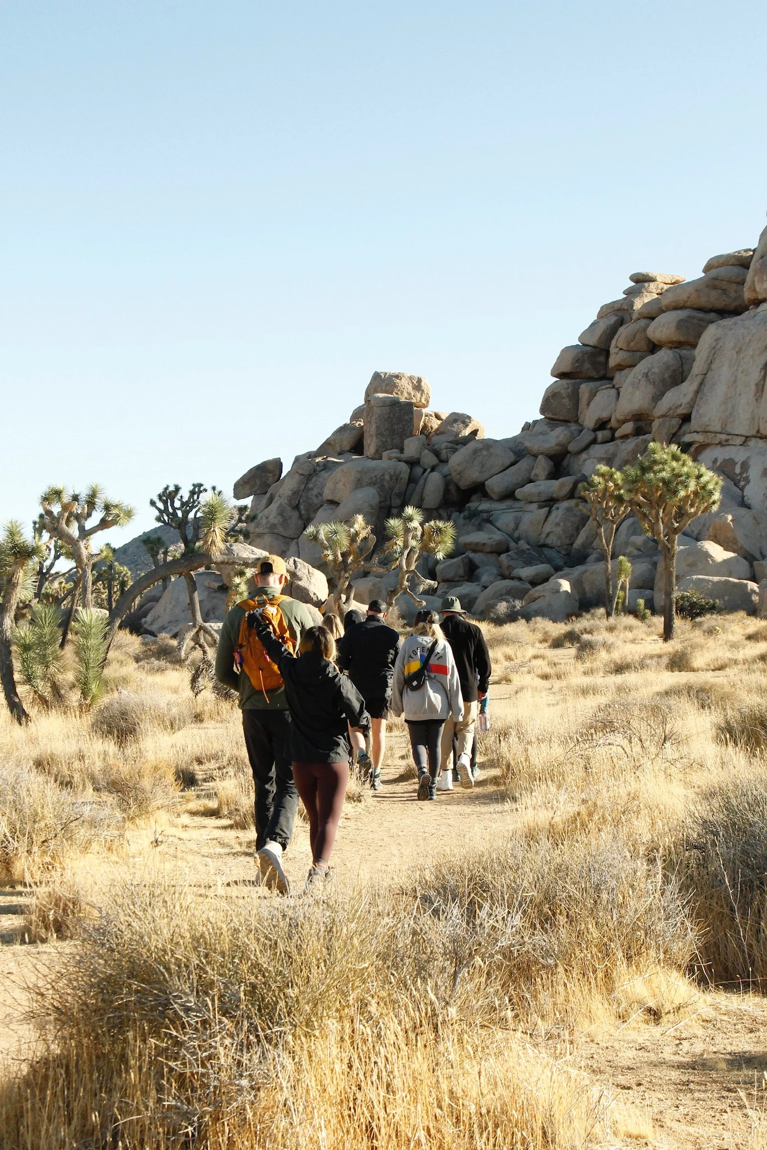 Gaia Villa Lifestyle.jpeg