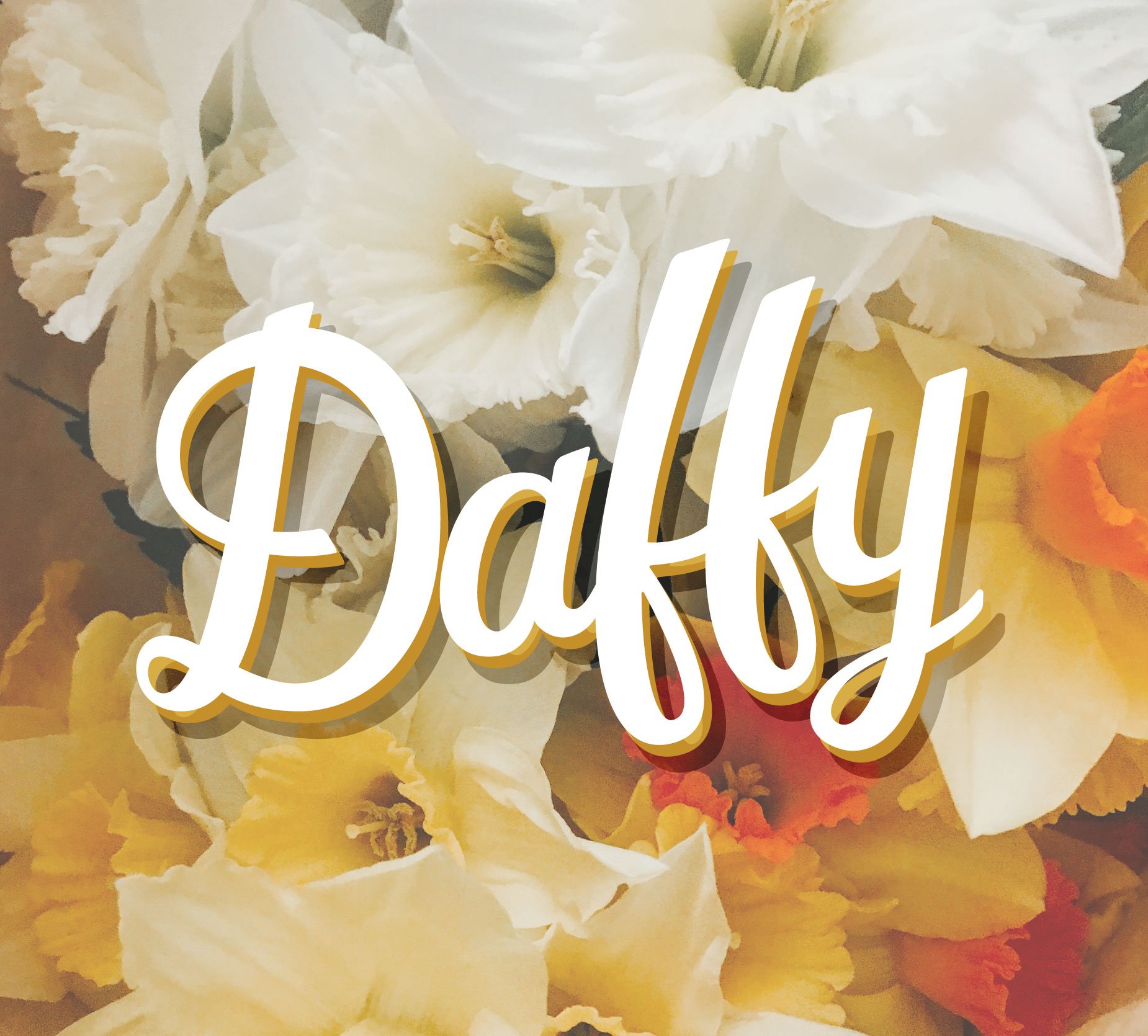 Daffy.jpg
