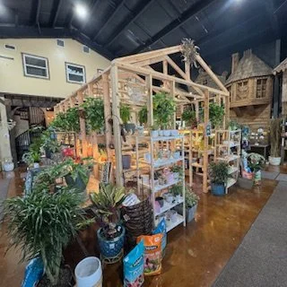 Custom indoor greenhouse display built for Earthworks Garden Center in Jacksonville, Florida, featuring a wood frame structure with shelving and live plants.