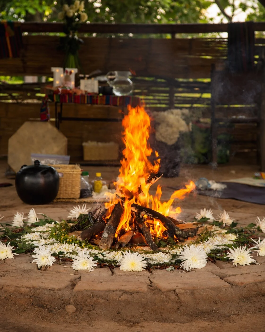 A living ceremonial fire surrounded by white flowers at Kaukitá.