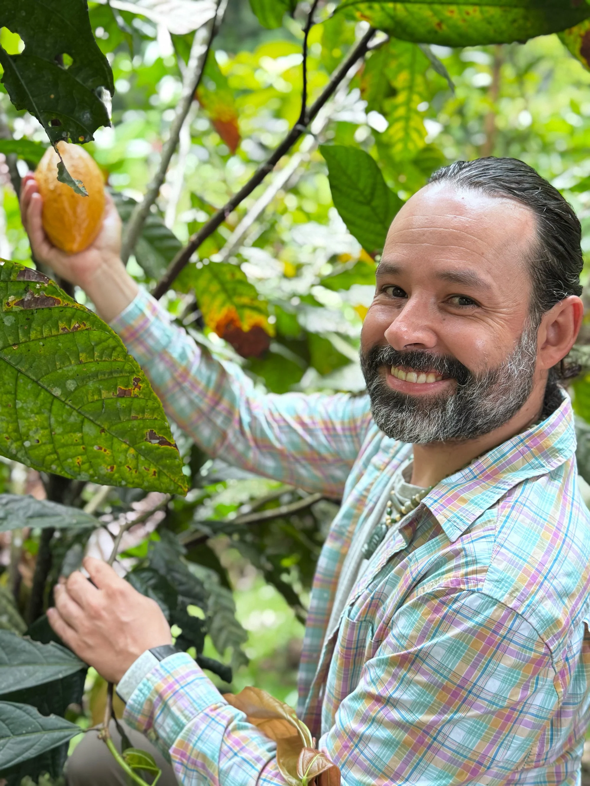 Andrés holding a ripe cacao pod among cacao trees.