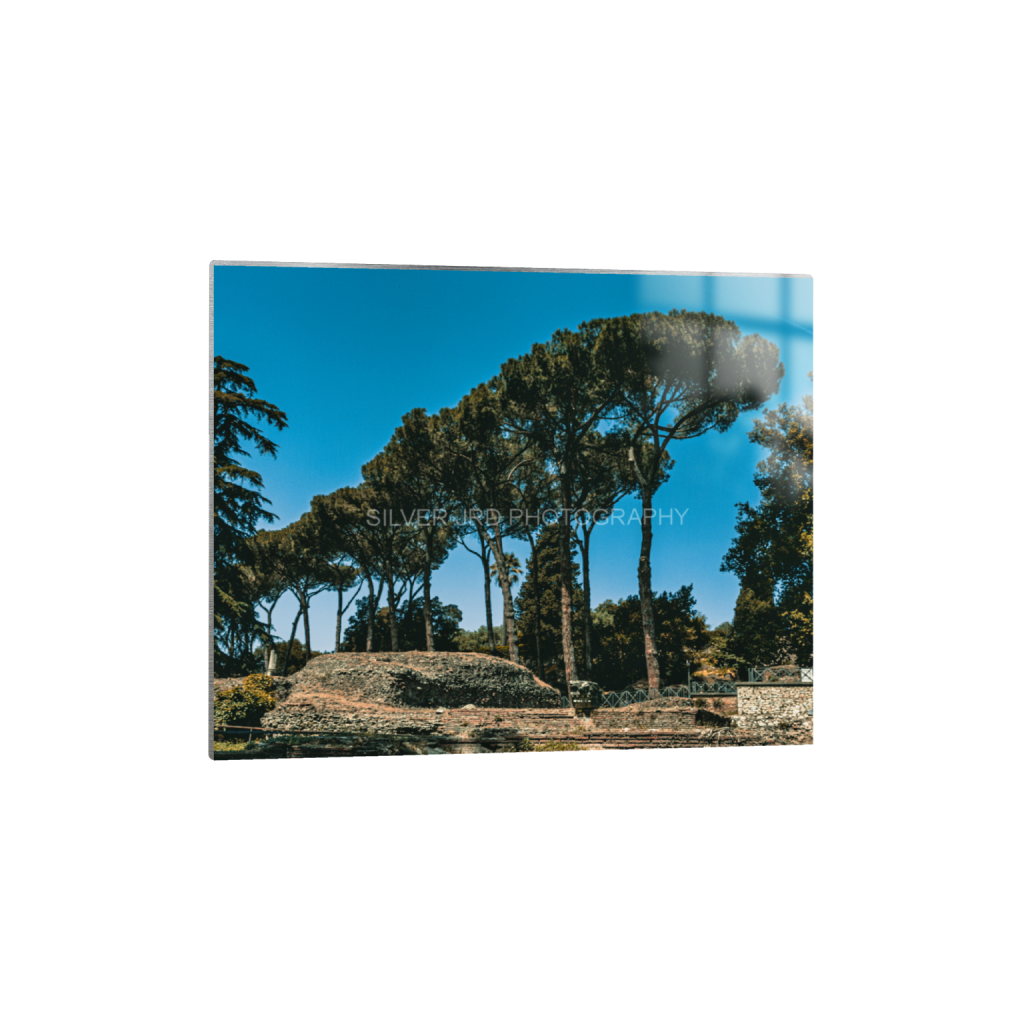 ptq_13_6_1187_0_3642_2914_0_false_ffffff_0_0_c1849c29d9bbef6863873a9951e341bc.png