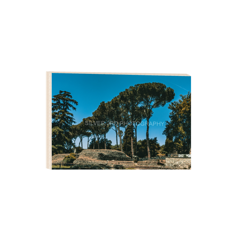 ptq_29_3_823_0_4371_2914_0_false_ffffff_0_0_c1849c29d9bbef6863873a9951e341bc.png