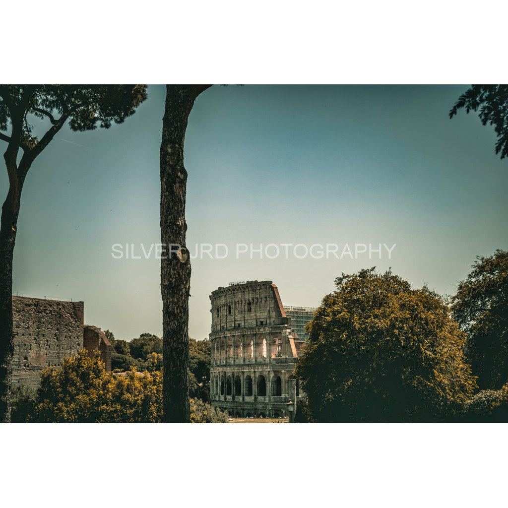 image_original_c1849c29d9bbef6863873a9951e341bc.png