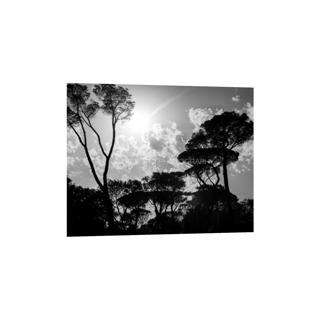 ptq_1_6_618_0_5003_4003_0_false_ffffff_0_0_c1849c29d9bbef6863873a9951e341bc.png