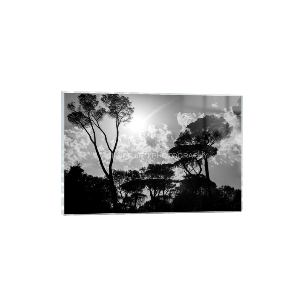 ptq_17_3_117_0_6004_4003_0_false_ffffff_0_0_c1849c29d9bbef6863873a9951e341bc.png