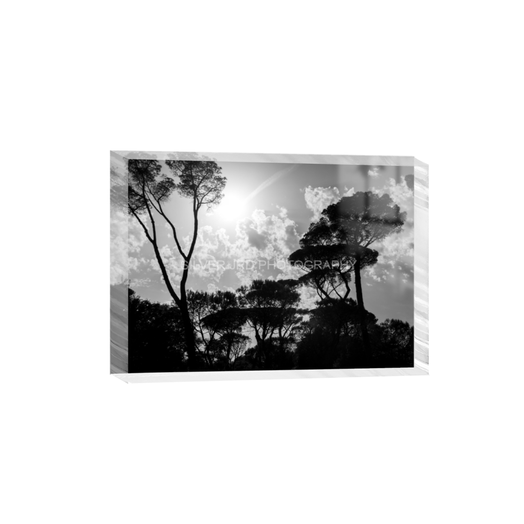 ptq_300_7_317_0_5604_4003_0_false_ffffff_0_0_c1849c29d9bbef6863873a9951e341bc.png