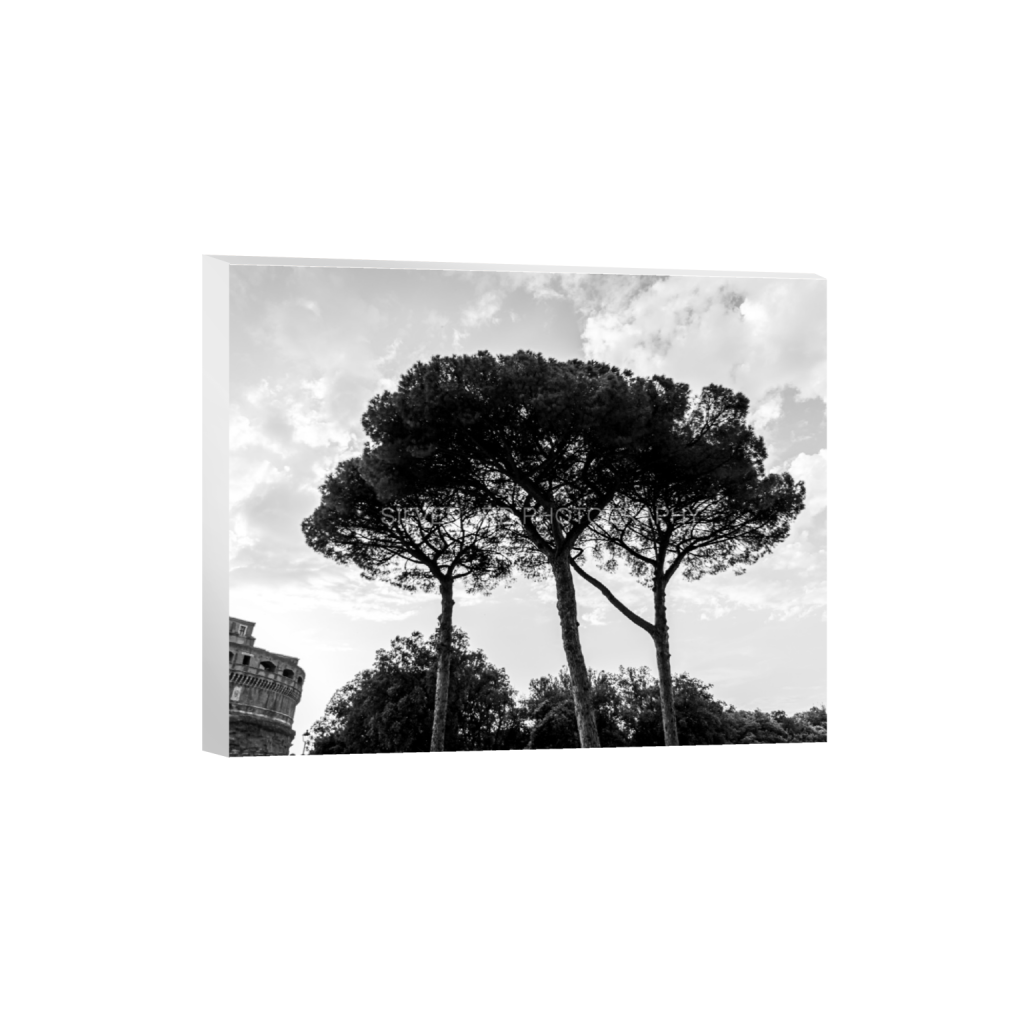 ptq_7_6_520_0_5200_4160_0_false_ffffff_0_0_c1849c29d9bbef6863873a9951e341bc.png