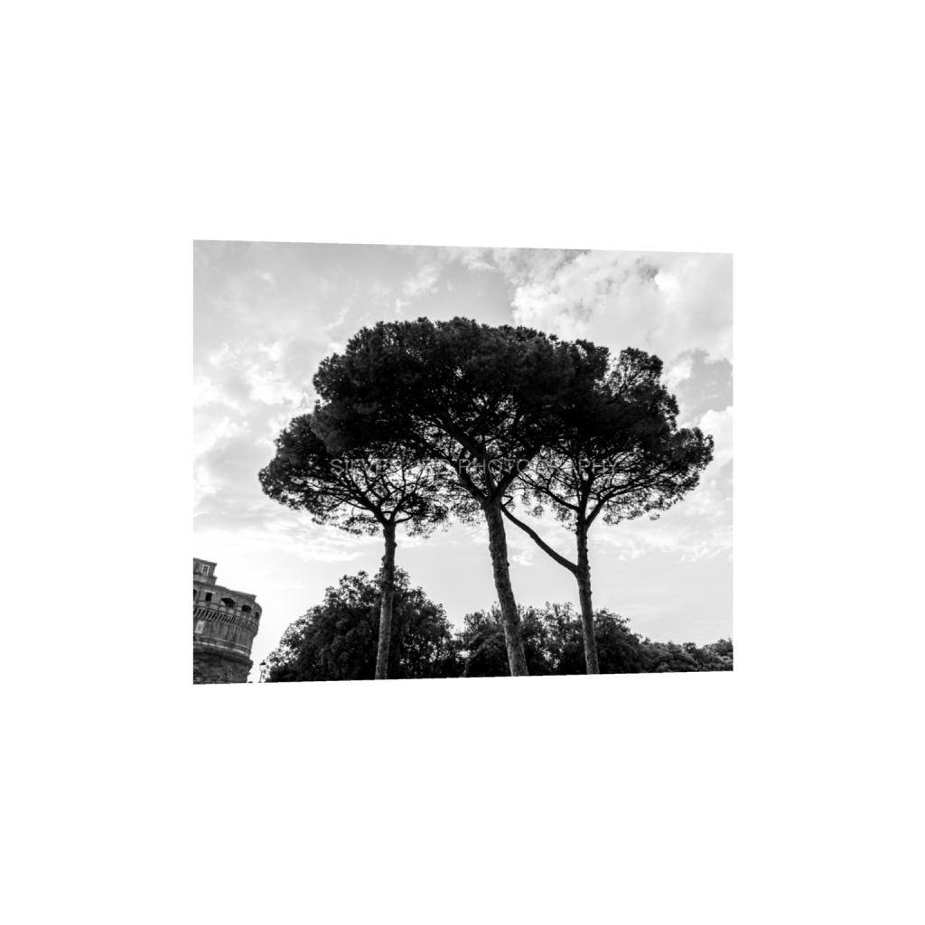 ptq_1_6_520_0_5200_4160_0_false_ffffff_0_0_c1849c29d9bbef6863873a9951e341bc.png