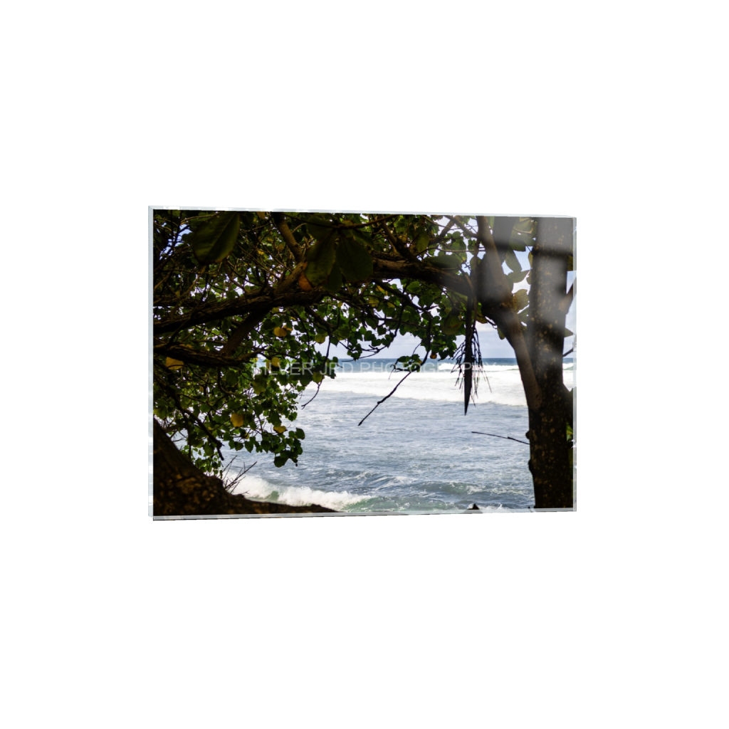 ptq_17_7_0_491_3438_2455_0_false_ffffff_0_0_c1849c29d9bbef6863873a9951e341bc.png