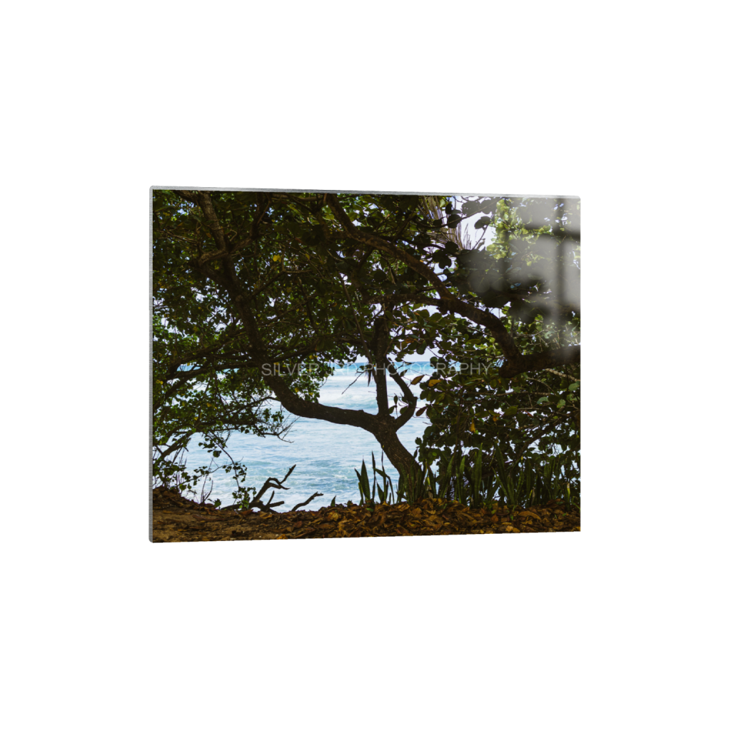 ptq_13_6_768_0_3640_2912_0_false_ffffff_0_0_c1849c29d9bbef6863873a9951e341bc.png