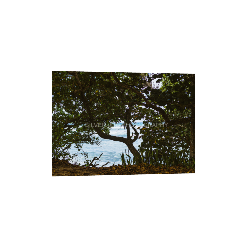 ptq_1_7_549_0_4076_2912_0_false_ffffff_0_0_c1849c29d9bbef6863873a9951e341bc.png