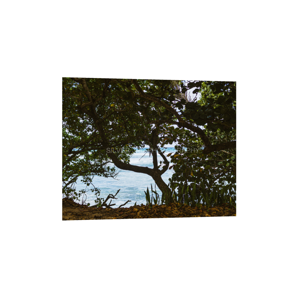ptq_1_6_768_0_3640_2912_0_false_ffffff_0_0_c1849c29d9bbef6863873a9951e341bc.png