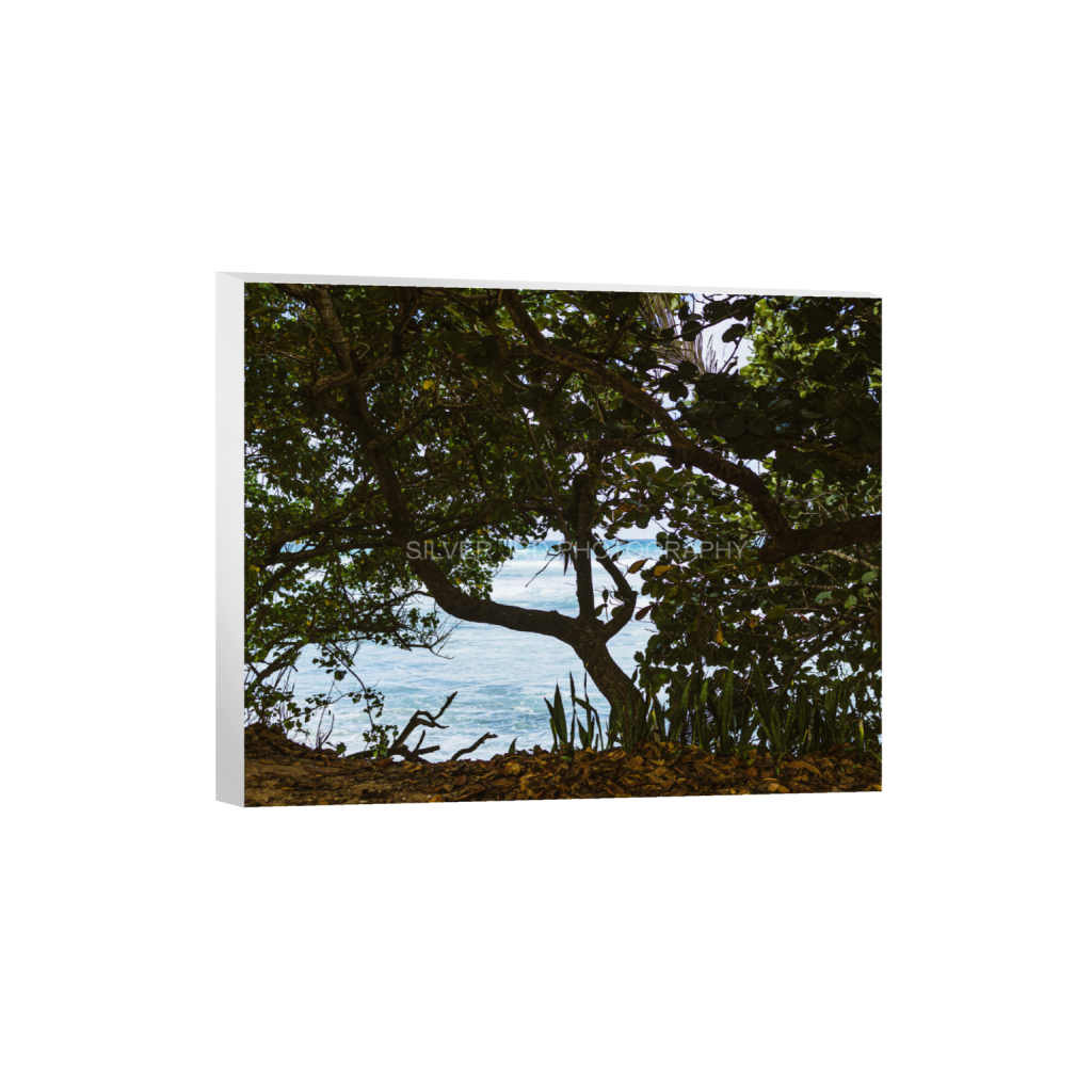 ptq_7_6_768_0_3640_2912_0_false_ffffff_0_0_c1849c29d9bbef6863873a9951e341bc.png