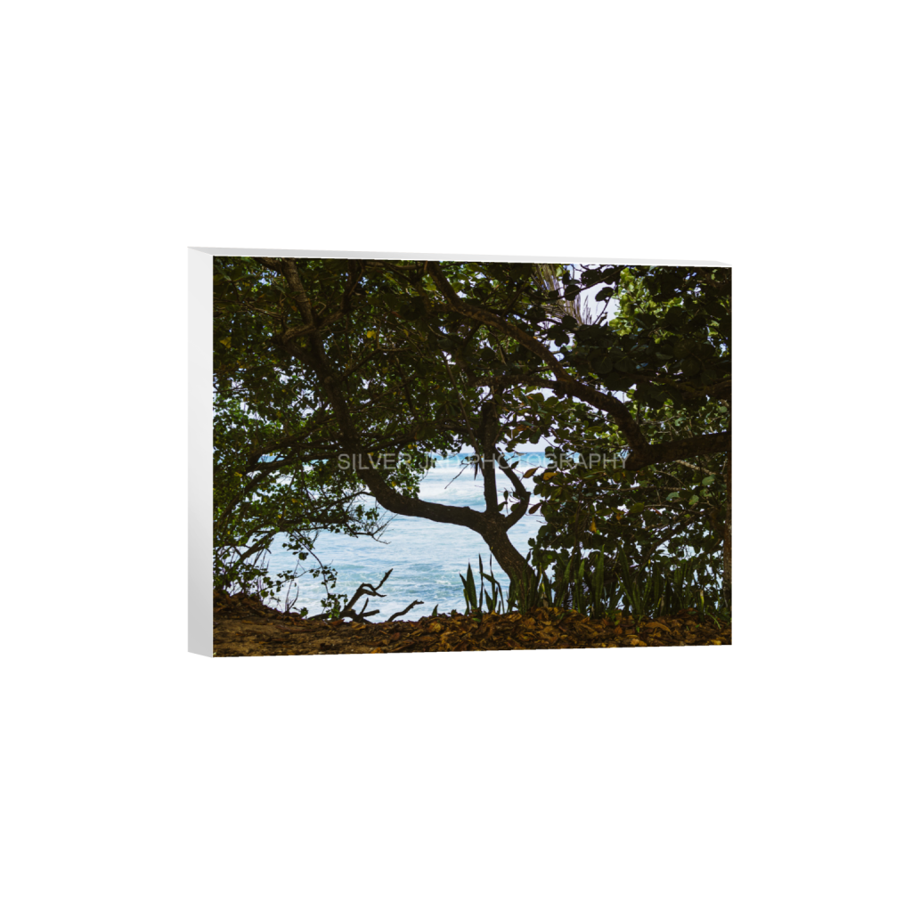 ptq_7_5_646_0_3882_2912_0_false_ffffff_0_0_c1849c29d9bbef6863873a9951e341bc.png