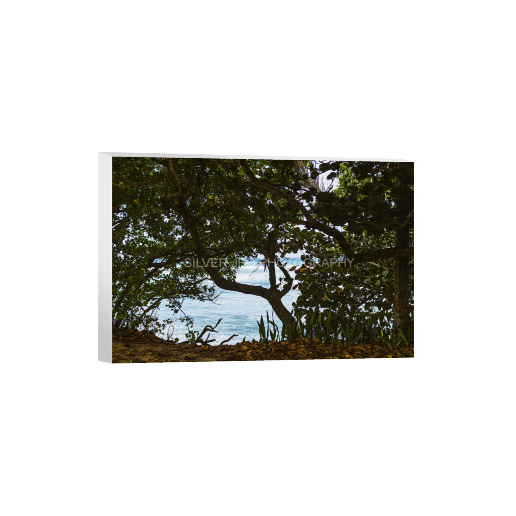 ptq_7_3_404_0_4368_2912_0_false_ffffff_0_0_c1849c29d9bbef6863873a9951e341bc.png