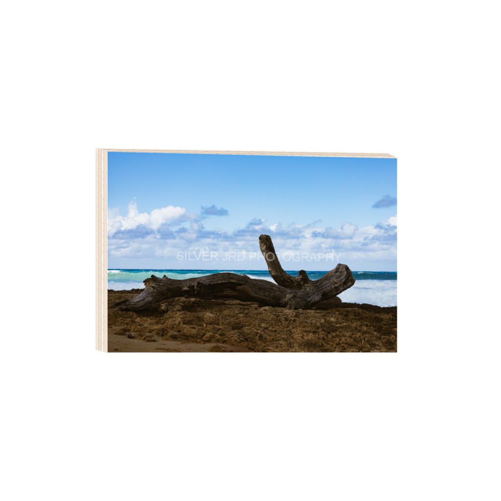 ptq_29_3_0_0_5790_3860_0_false_ffffff_0_0_c1849c29d9bbef6863873a9951e341bc.png