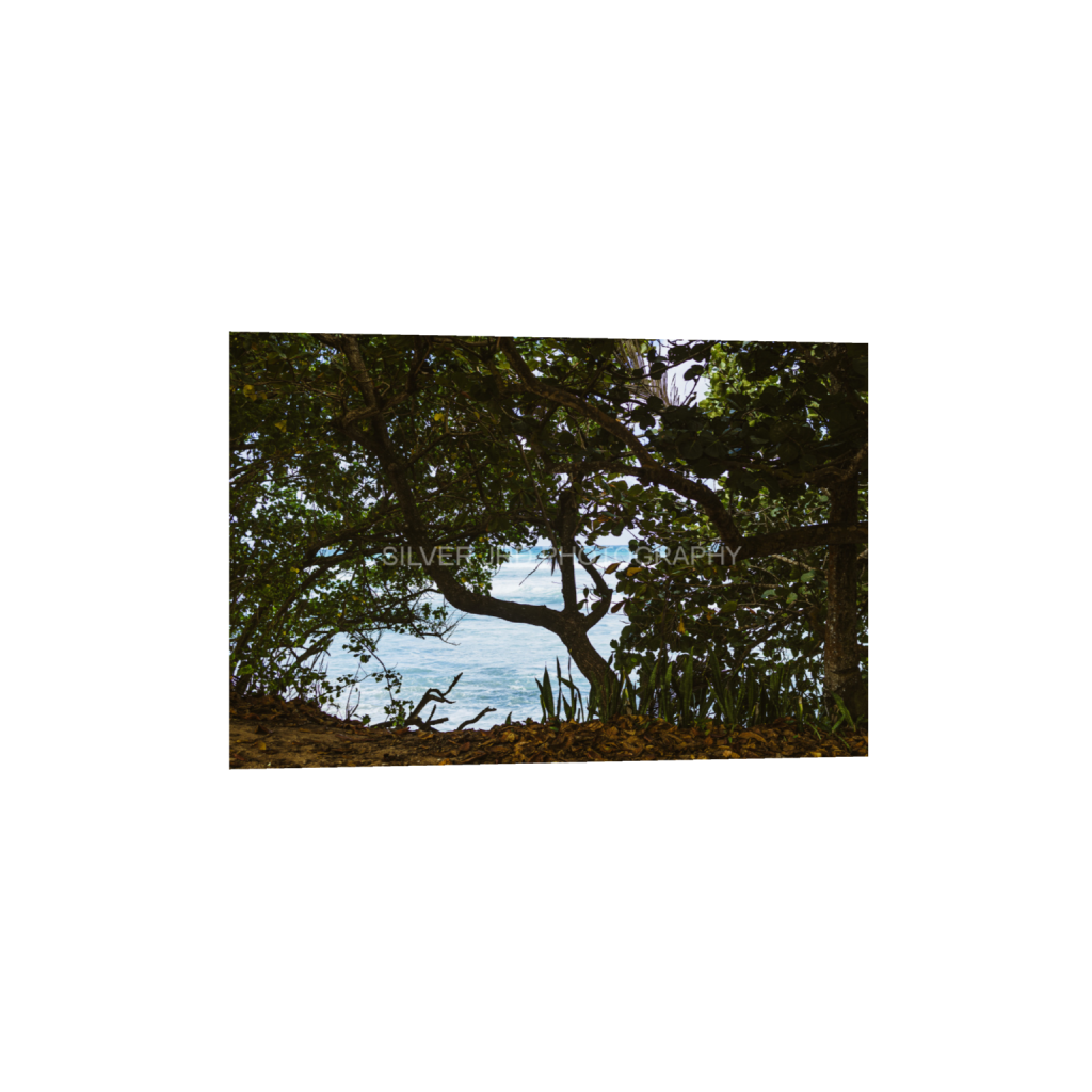 ptq_34_3_404_0_4368_2912_0_false_ffffff_0_0_c1849c29d9bbef6863873a9951e341bc.png