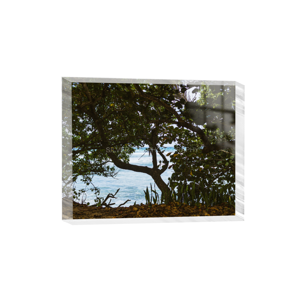 ptq_300_6_768_0_3640_2912_0_false_ffffff_0_0_c1849c29d9bbef6863873a9951e341bc.png