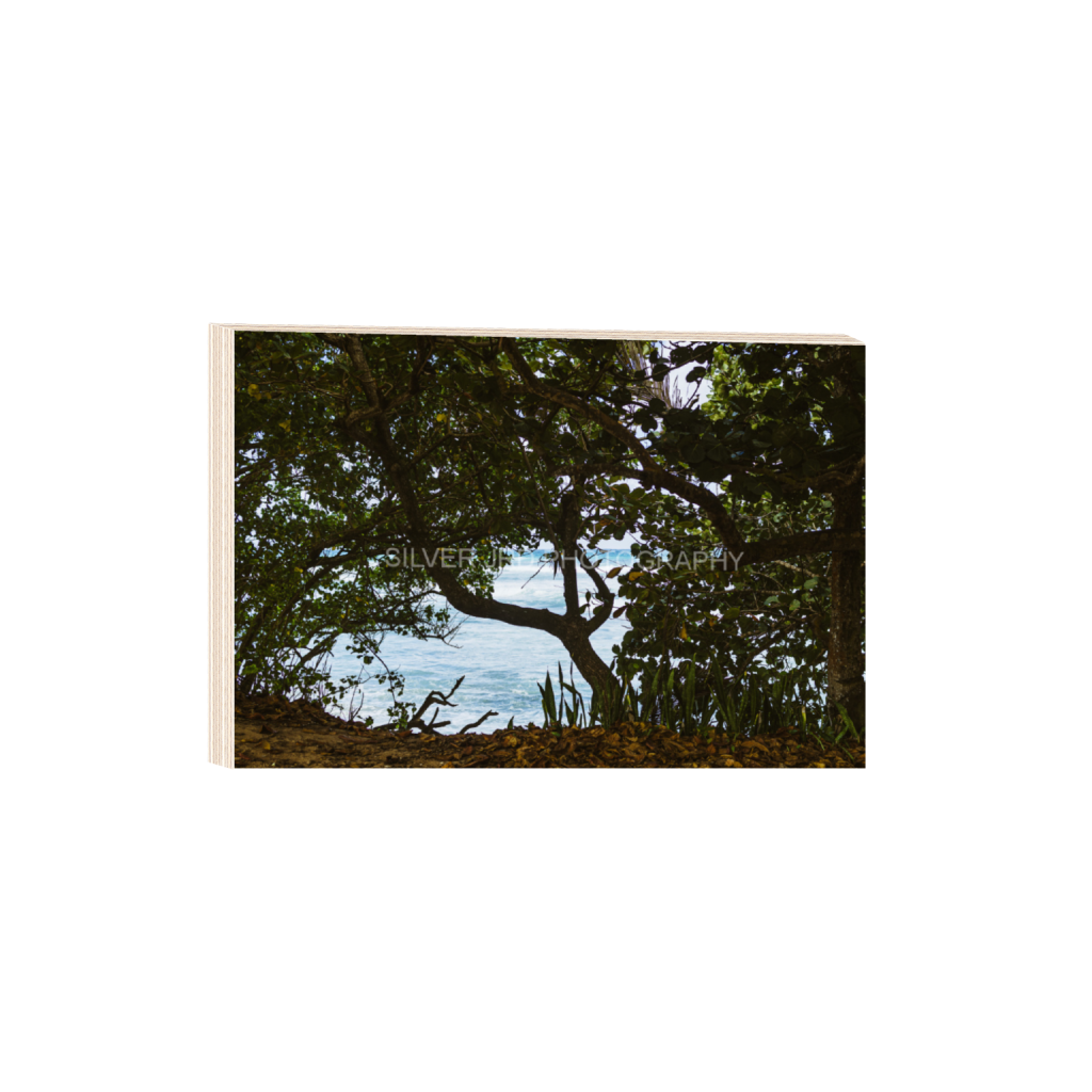 ptq_29_3_404_0_4368_2912_0_false_ffffff_0_0_c1849c29d9bbef6863873a9951e341bc.png