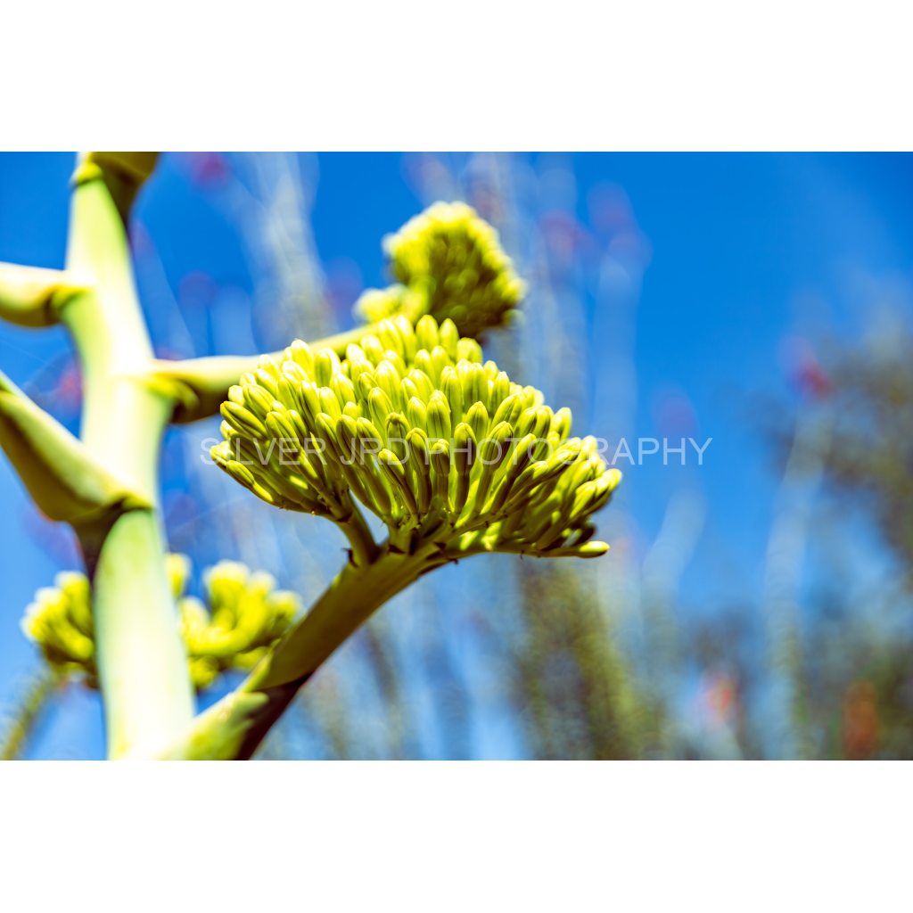 image_original_c1849c29d9bbef6863873a9951e341bc.png