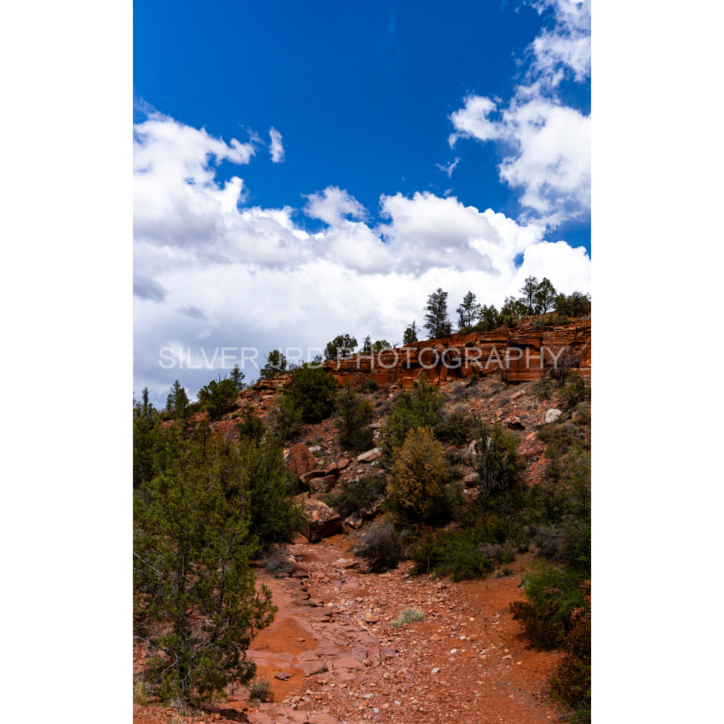 image_original_c1849c29d9bbef6863873a9951e341bc.png