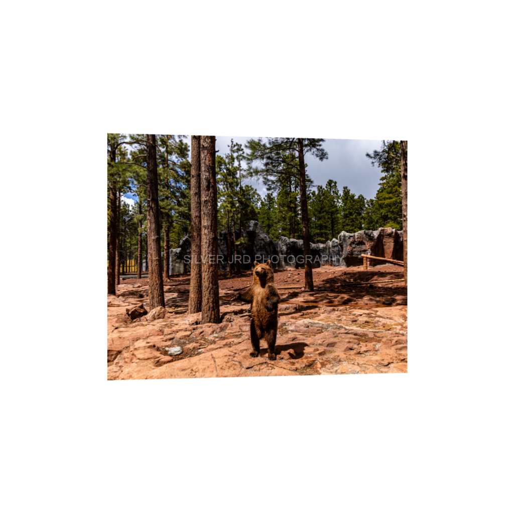 ptq_1_6_380_0_4016_3213_0_false_ffffff_0_0_c1849c29d9bbef6863873a9951e341bc.png