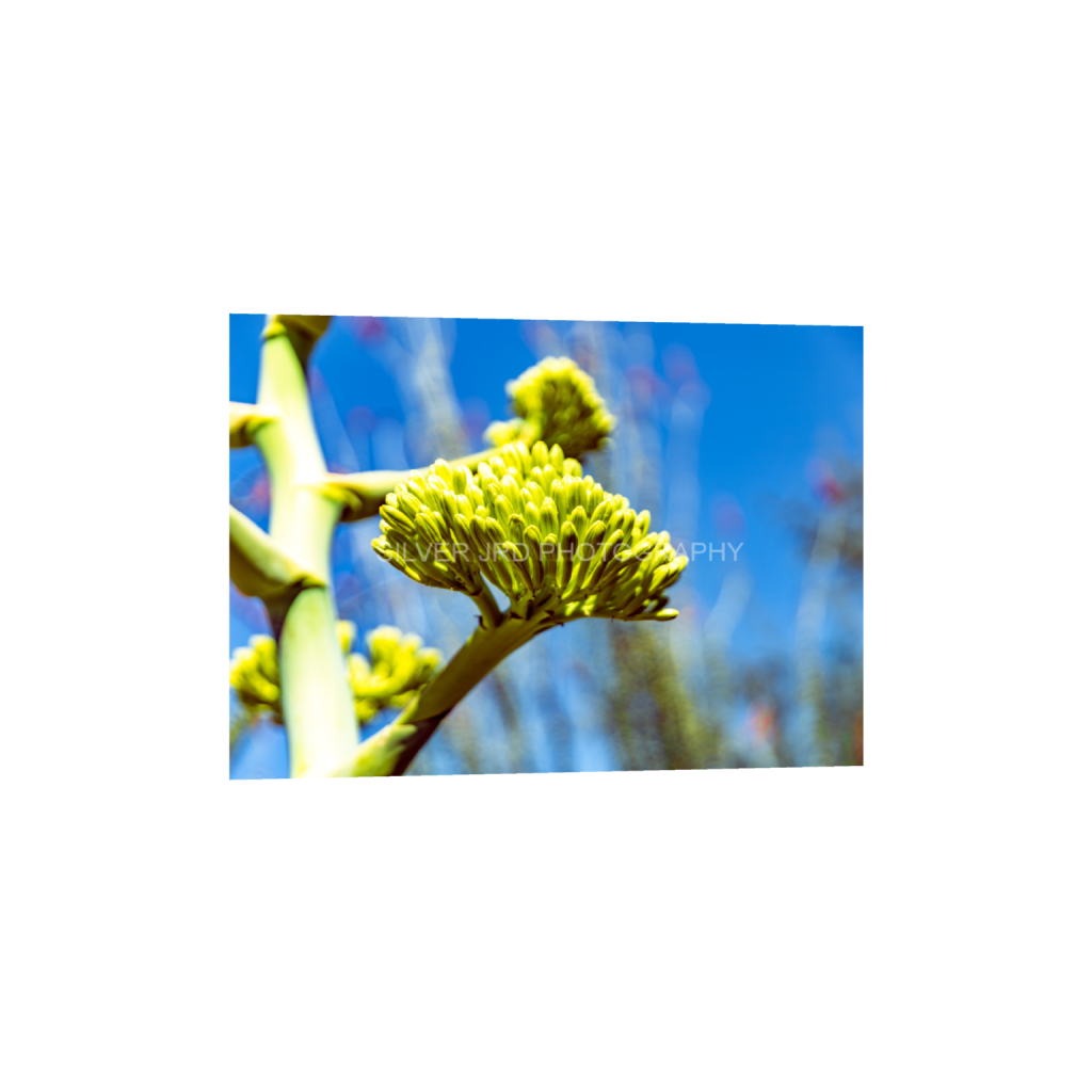 ptq_34_7_208_0_5824_4160_0_false_ffffff_0_0_c1849c29d9bbef6863873a9951e341bc.png