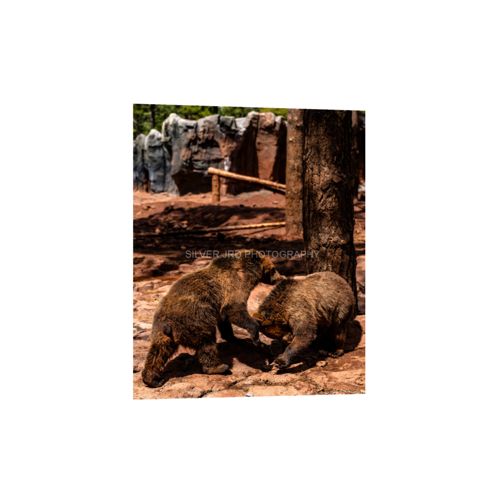 ptq_1_6_0_369_3531_4413_0_false_ffffff_0_0_c1849c29d9bbef6863873a9951e341bc.png