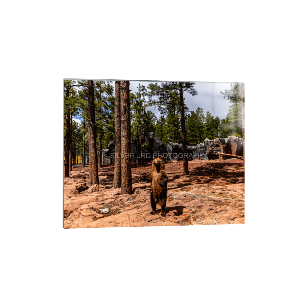ptq_13_6_380_0_4016_3213_0_false_ffffff_0_0_c1849c29d9bbef6863873a9951e341bc.png