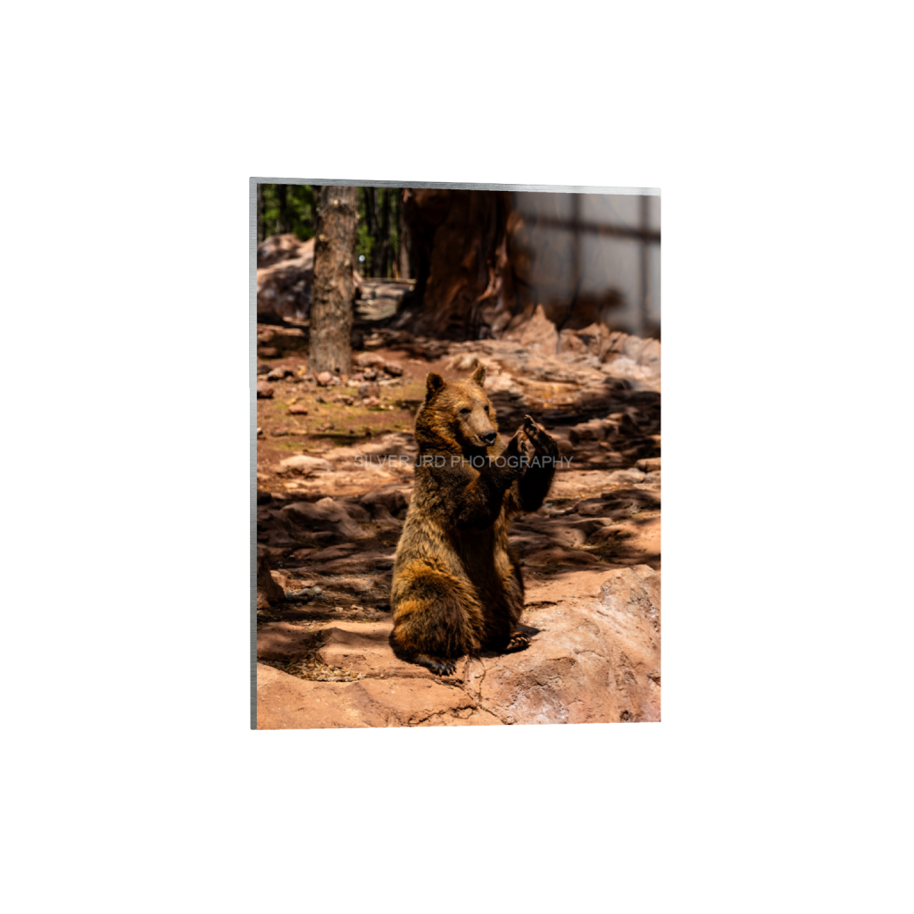 ptq_13_5_127_0_2302_3070_0_false_ffffff_0_0_c1849c29d9bbef6863873a9951e341bc.png