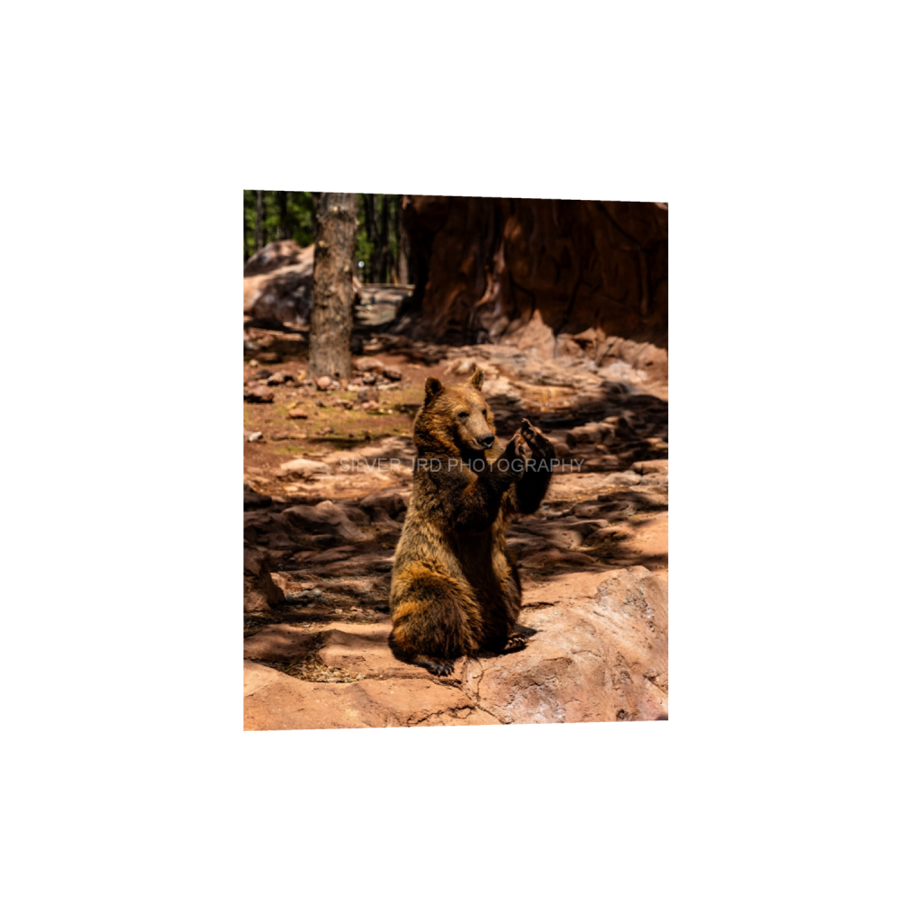 ptq_1_6_50_0_2456_3070_0_false_ffffff_0_0_c1849c29d9bbef6863873a9951e341bc.png