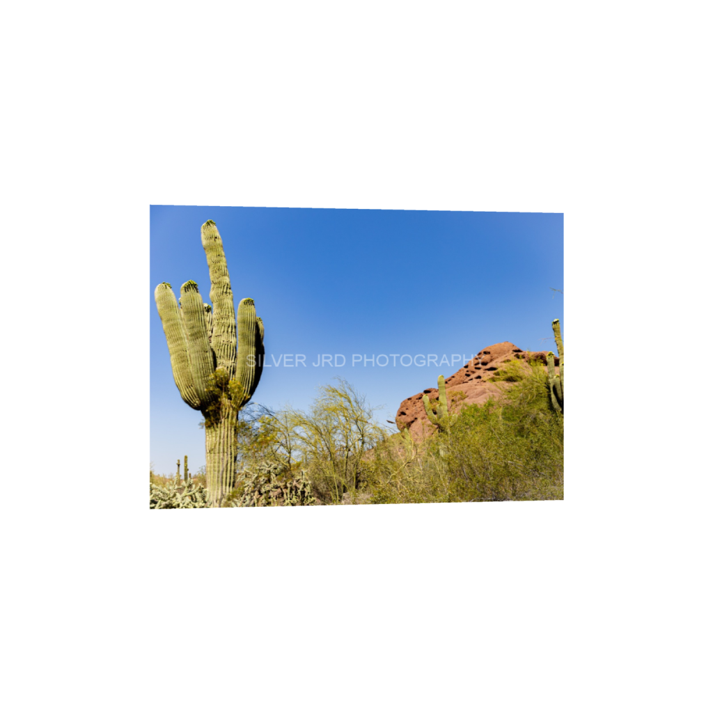 ptq_1_7_0_0_5461_3900_0_false_ffffff_0_0_c1849c29d9bbef6863873a9951e341bc.png