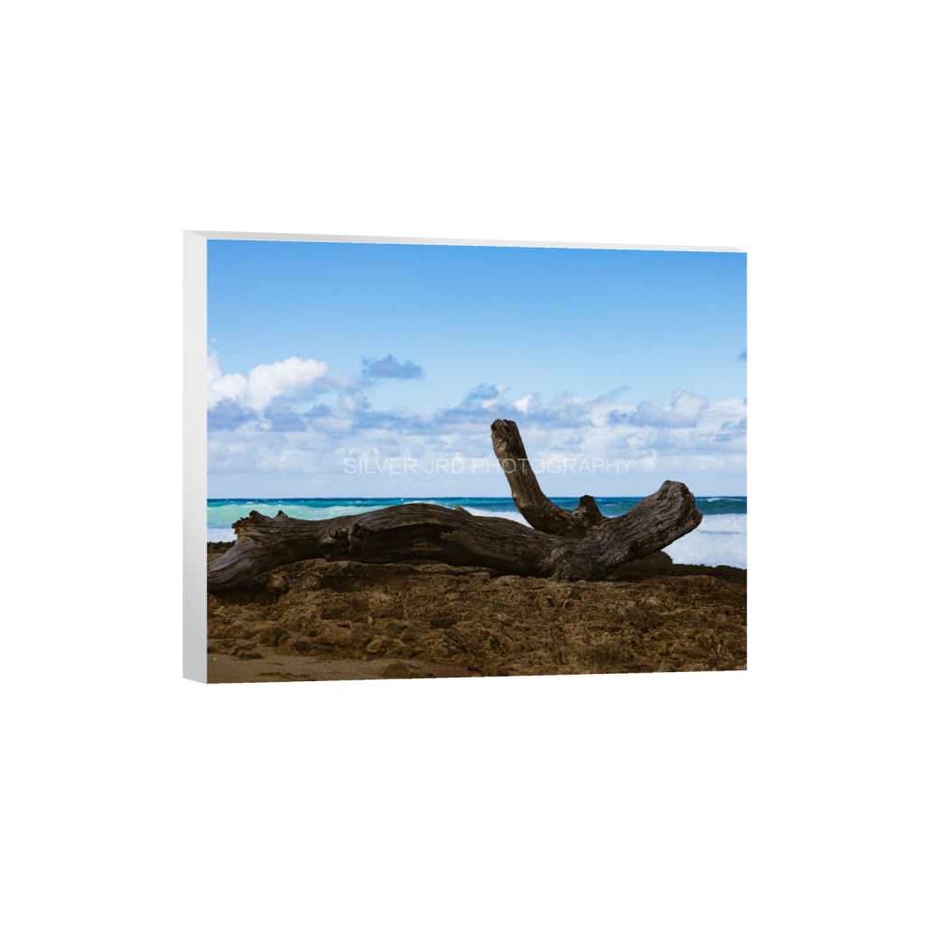 ptq_7_6_463_0_4825_3860_0_false_ffffff_0_0_c1849c29d9bbef6863873a9951e341bc.png