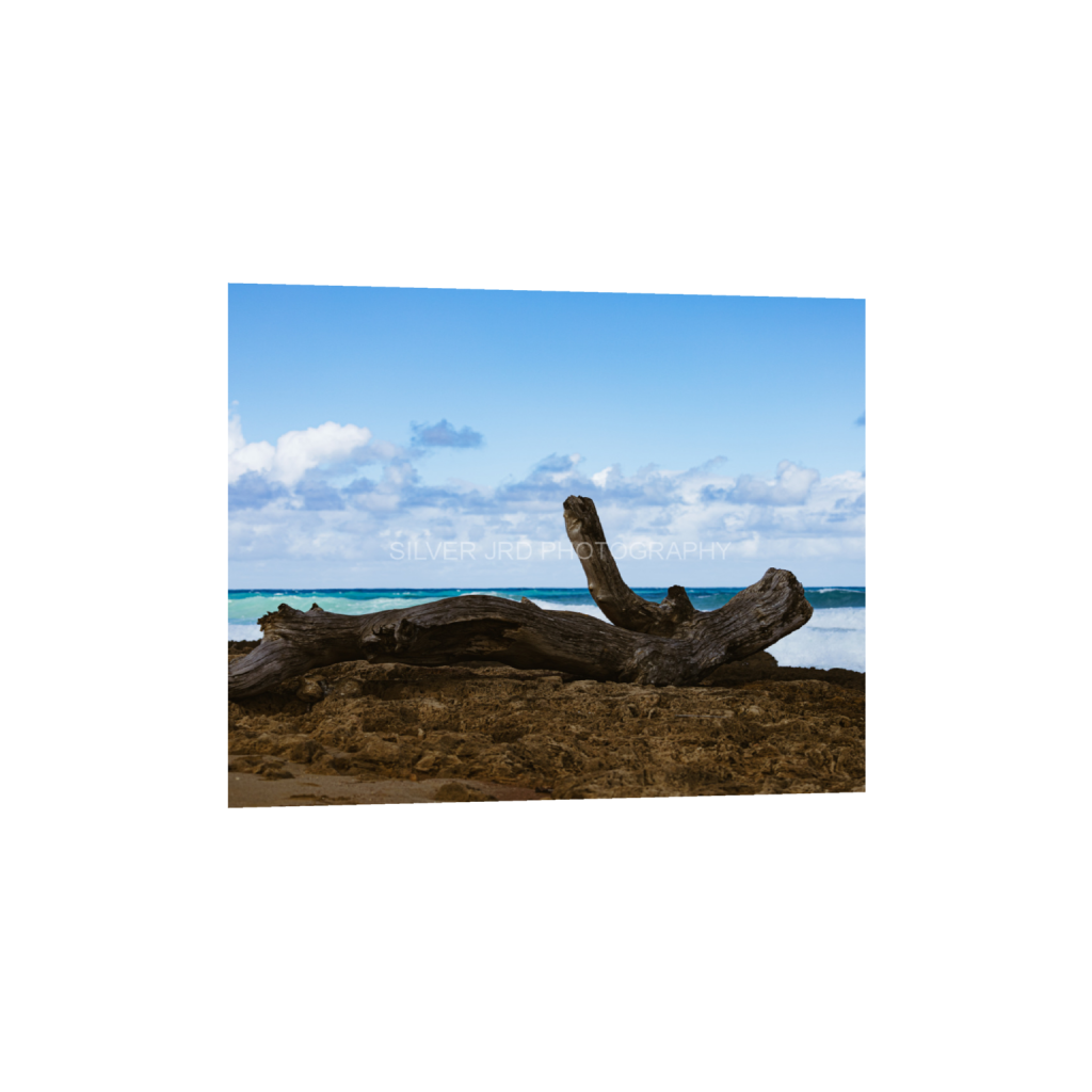ptq_1_6_463_0_4825_3860_0_false_ffffff_0_0_c1849c29d9bbef6863873a9951e341bc.png