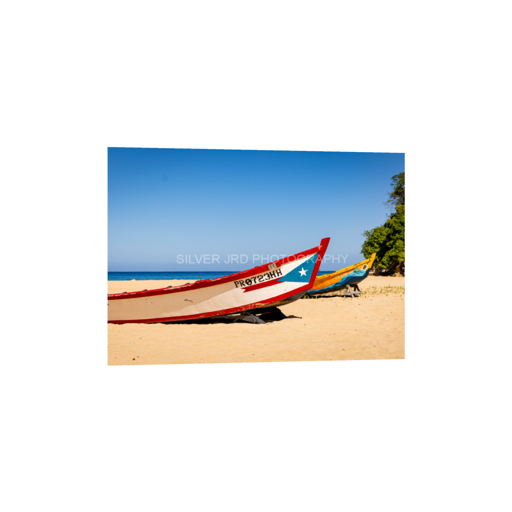 ptq_1_7_751_0_5570_3979_0_false_ffffff_0_0_c1849c29d9bbef6863873a9951e341bc.png