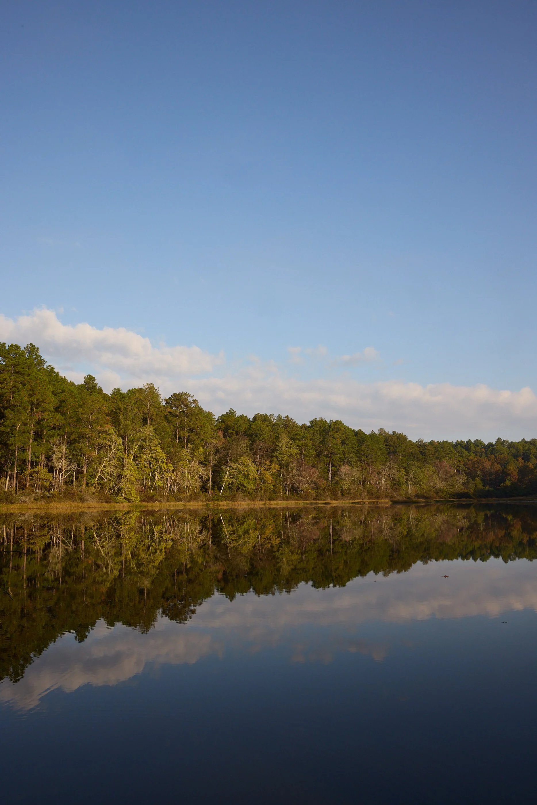 24-10-28_Houston_Nicki Evans Photo_Travel East Texas_Houstonia Mag_0053.jpg