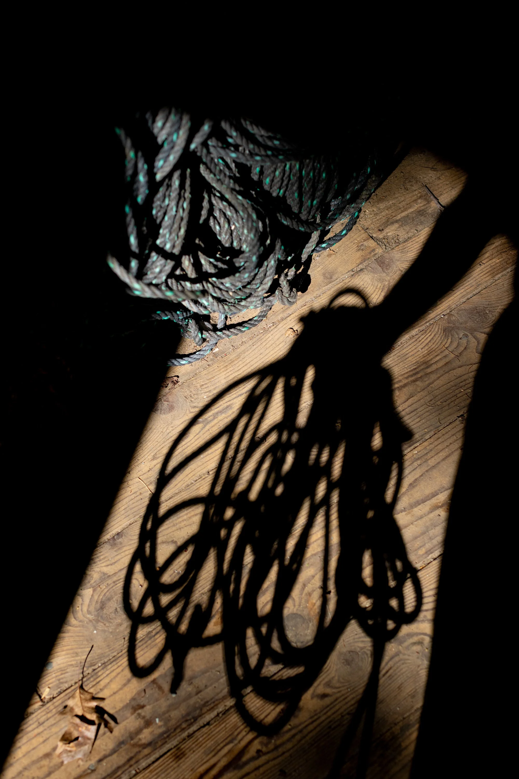 _NF_6786.jpg