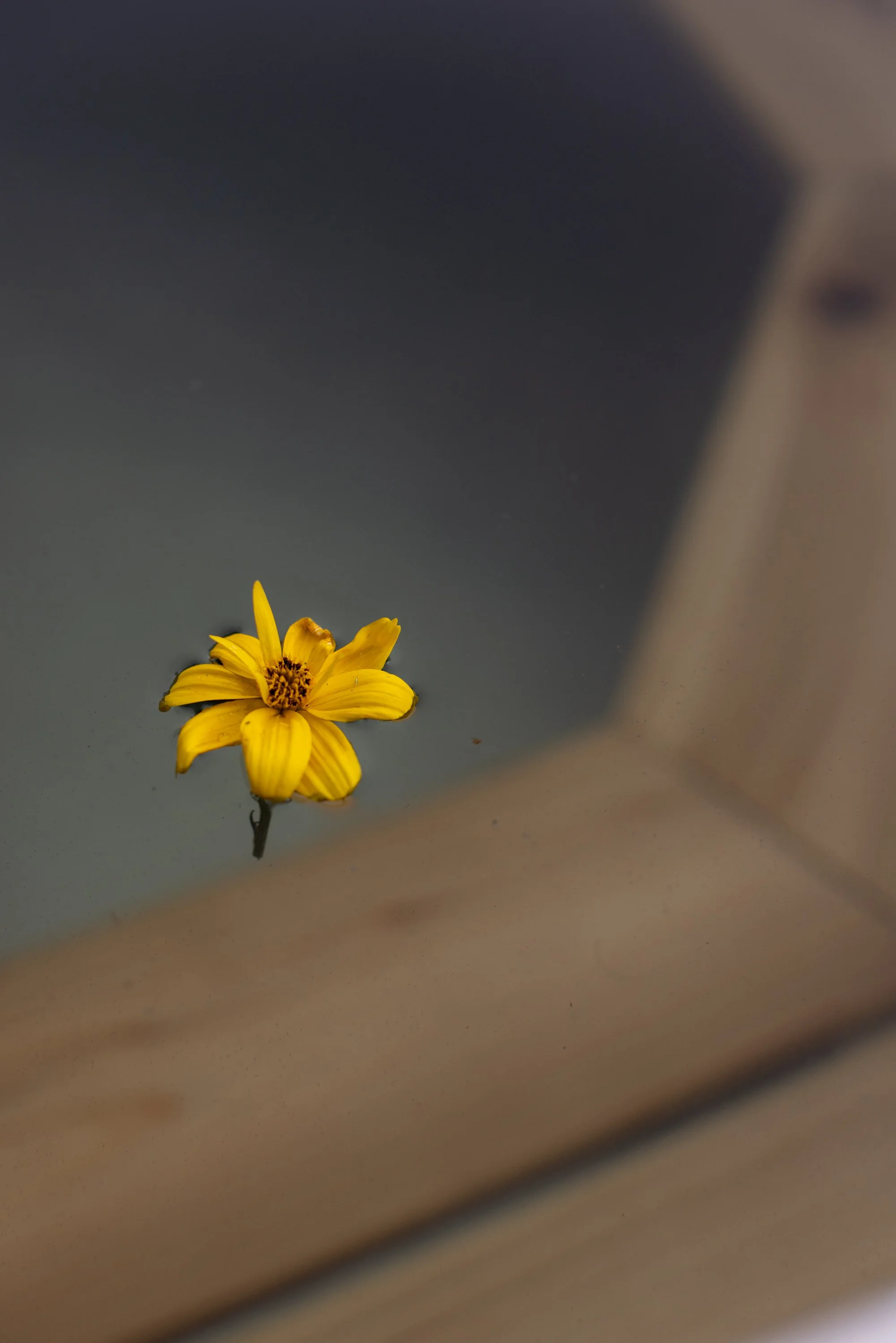 _NF_9022.jpg