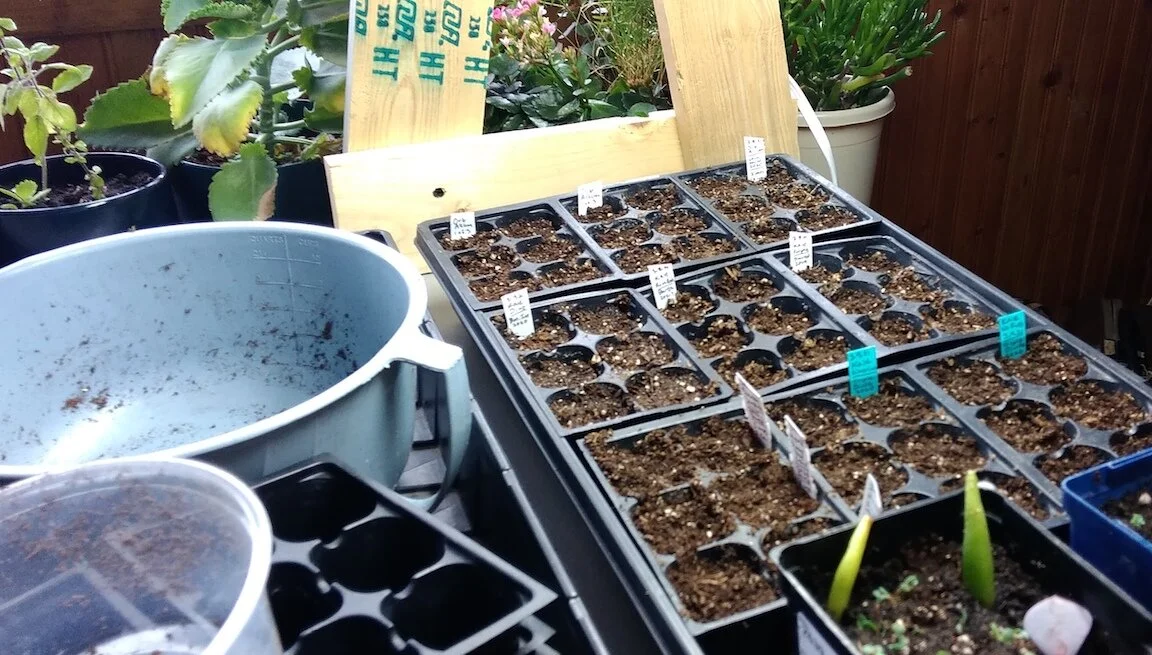 Seed-Starting-Mix-In-Pods-cropped-sm.jpeg