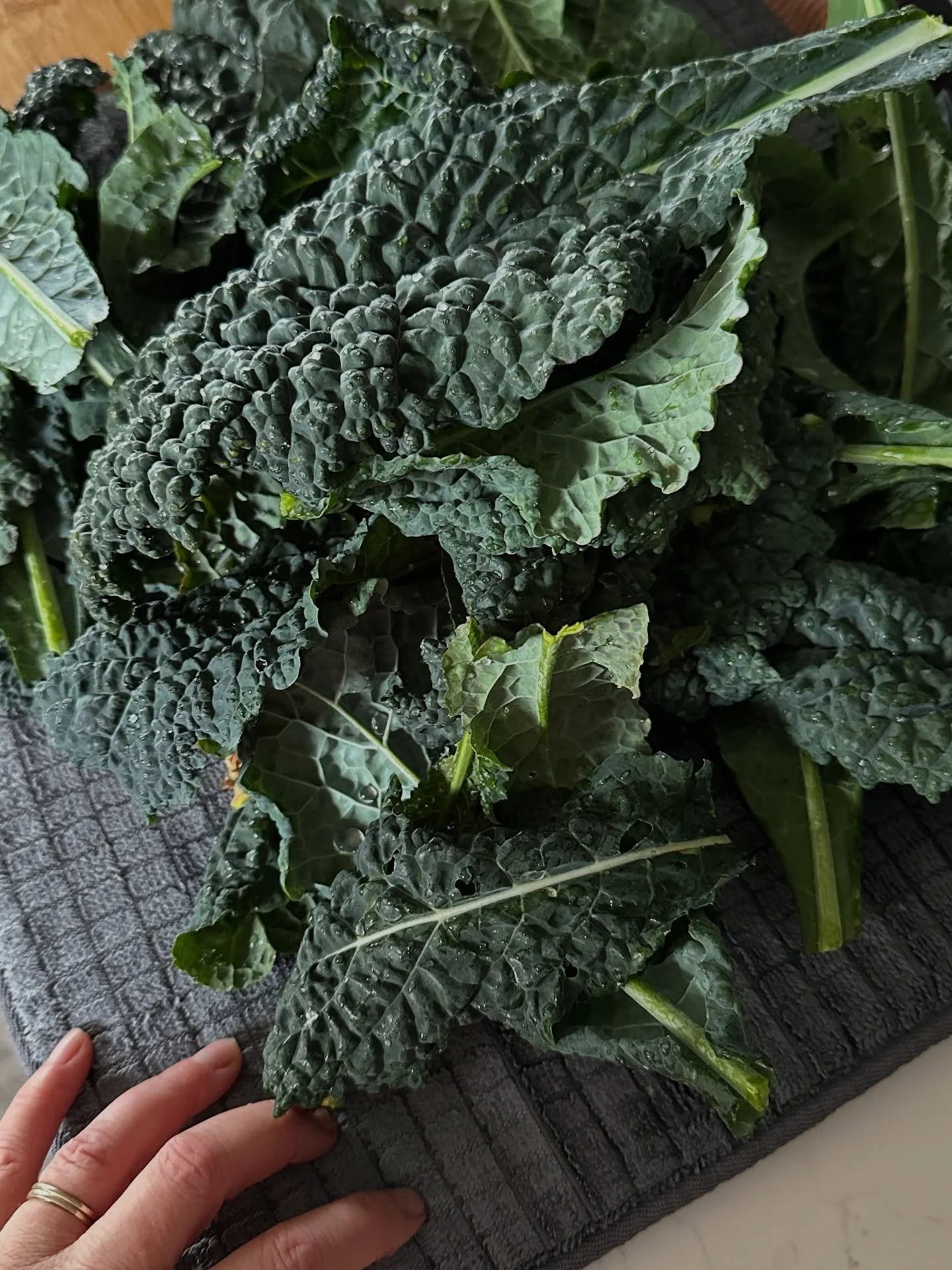 I’ll take you out to the garden in my stories later, because there’s lots happening! But for now, here’s what I’ll be cooking with for the next few days. It’s the last of the season’s kale, cavolo nero and cabbage.