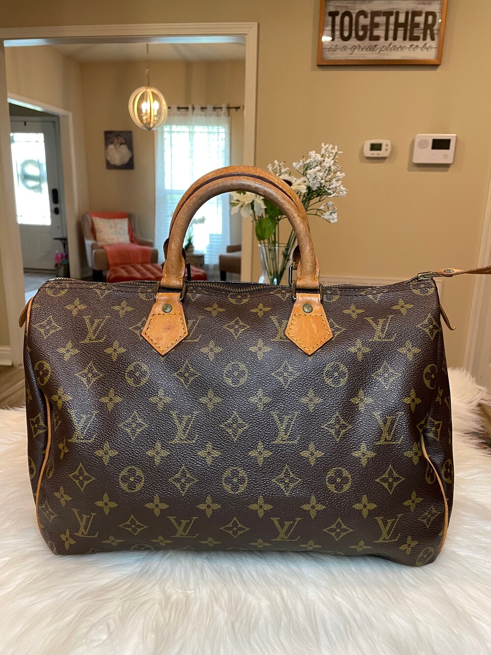Louis Vuitton Small Speedy Leather Zip Pull-tab