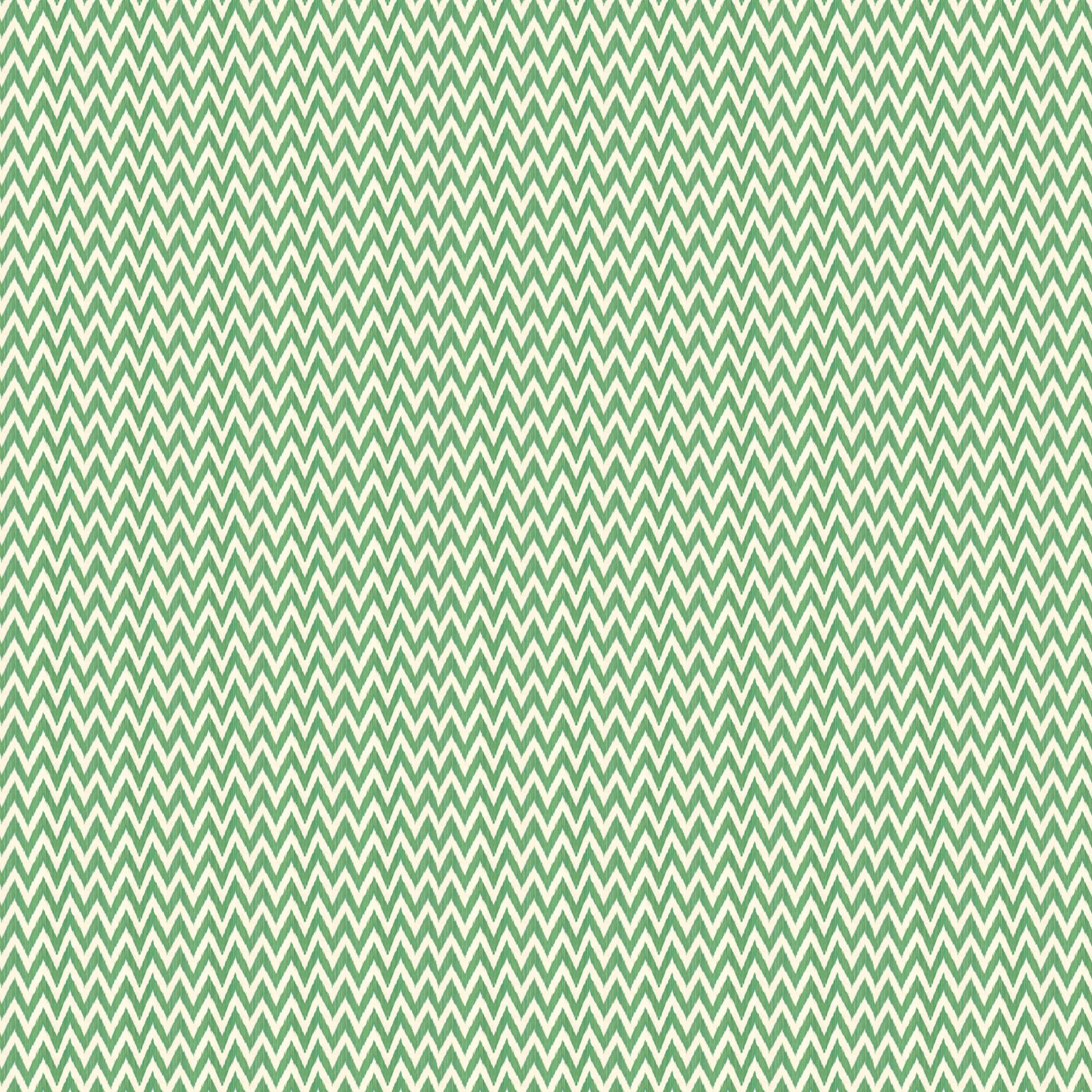 web_ZIGGY Green.jpg