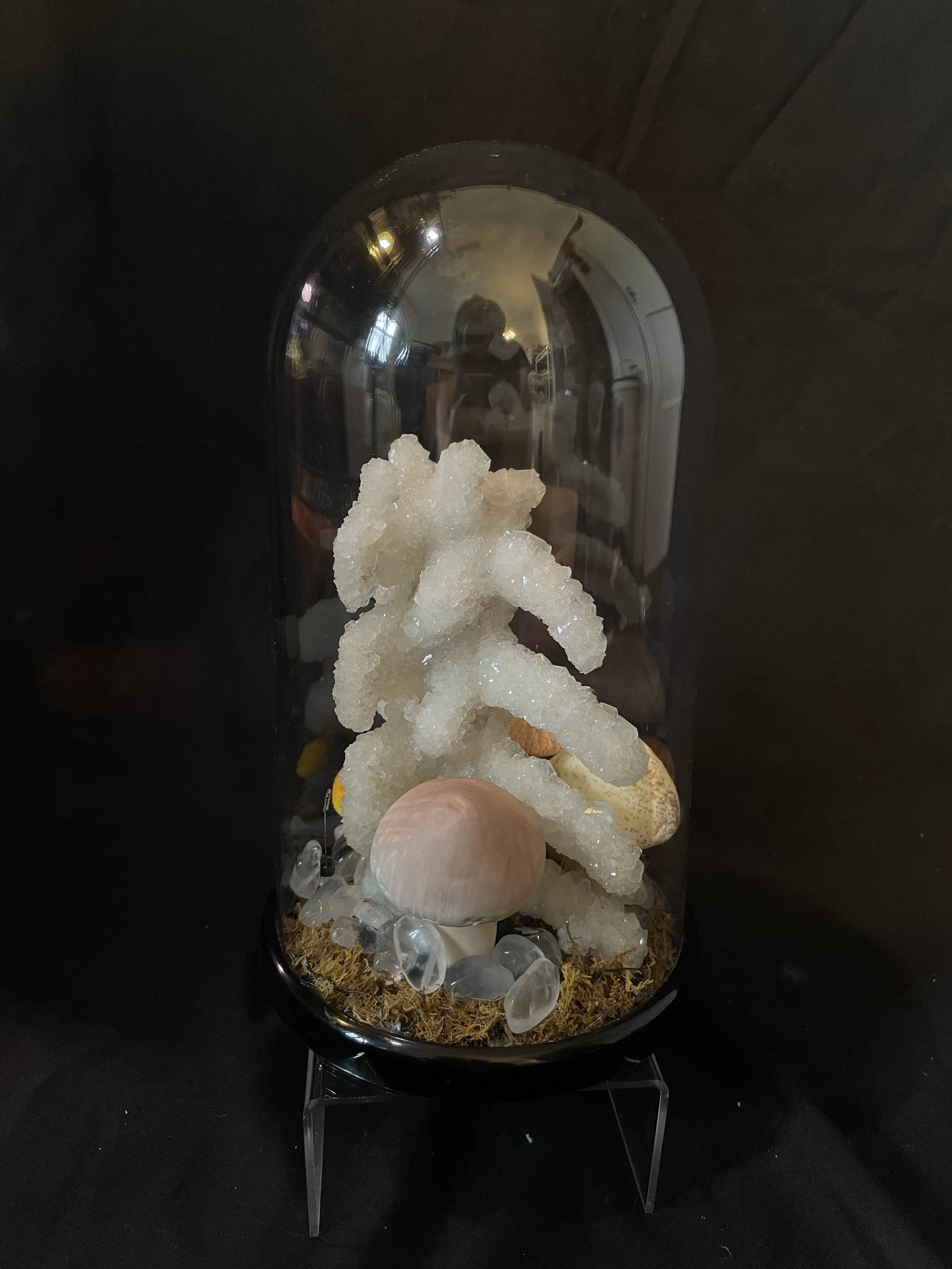 Crystalized Deer Spine