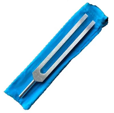 98600-GammaFork2.jpg