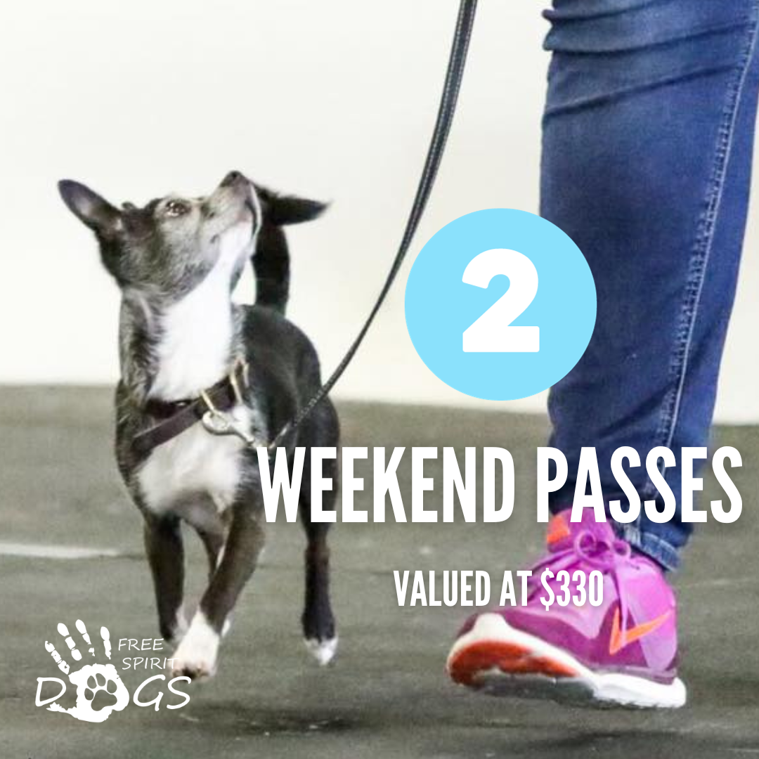 Store 1 — freespiritdogs